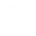 ic_action_web_site.png
